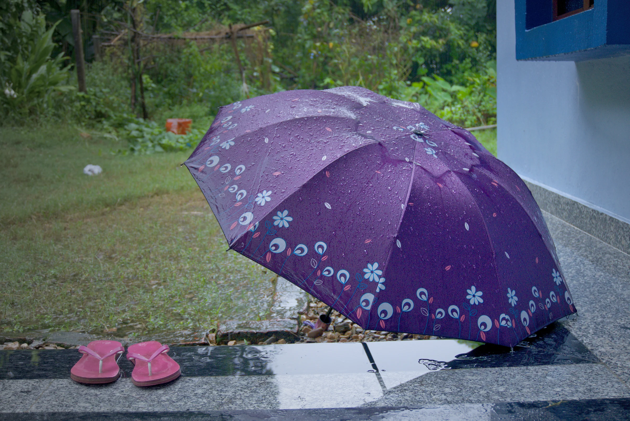 An open purple umbrella drying upside down on a wet village road, a pair of pink slippers on the tarmac beside it, green hedges and a blue-painted wall behind.